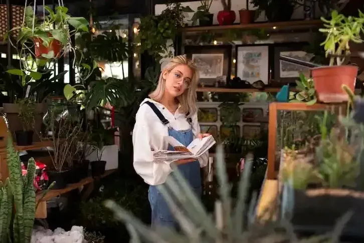 A hátsó üvegház